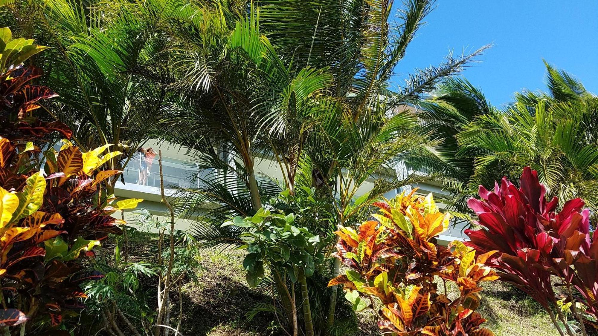 Lake Arenal Condos Наранхос-Агриос Экстерьер фото